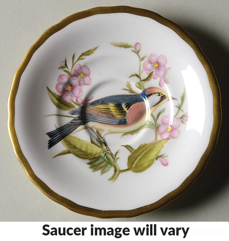Audubon Birds Saucer for Flat Demitasse Cup by Spode-1