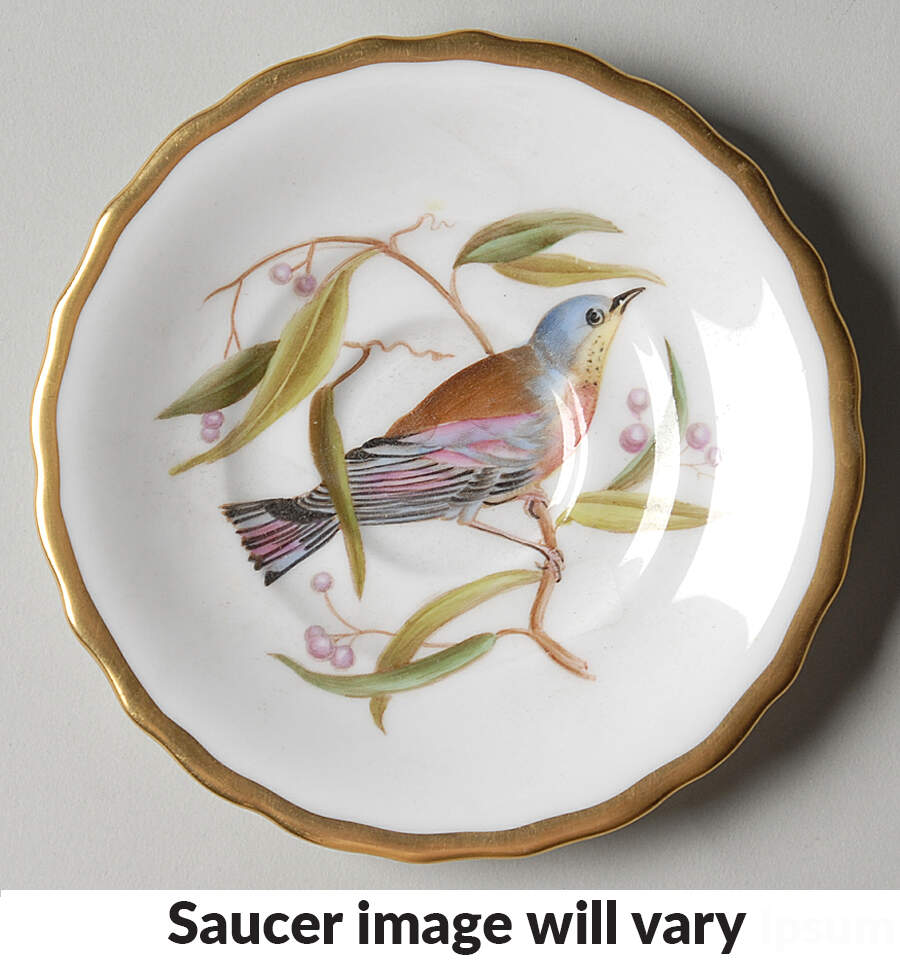 Audubon Birds Saucer for Flat Demitasse Cup by Spode-1