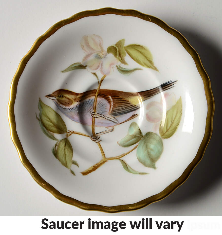 Audubon Birds Saucer for Flat Demitasse Cup by Spode-1