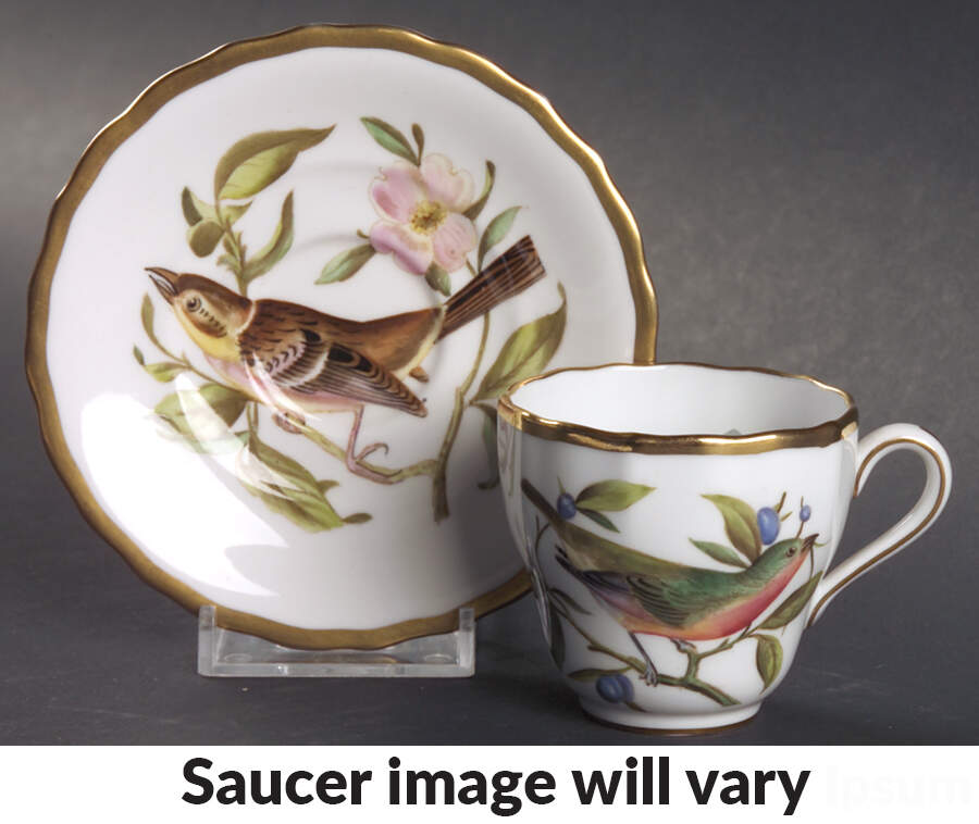 Audubon Birds Flat Demitasse Cup & Saucer Set by Spode-1