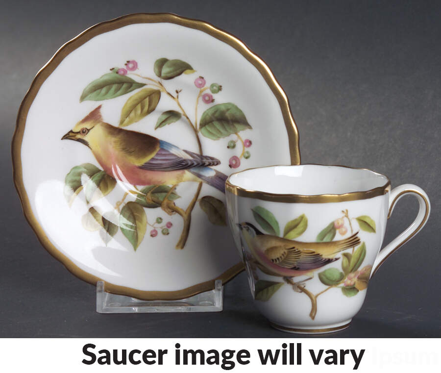 Audubon Birds Flat Demitasse Cup & Saucer Set by Spode-1