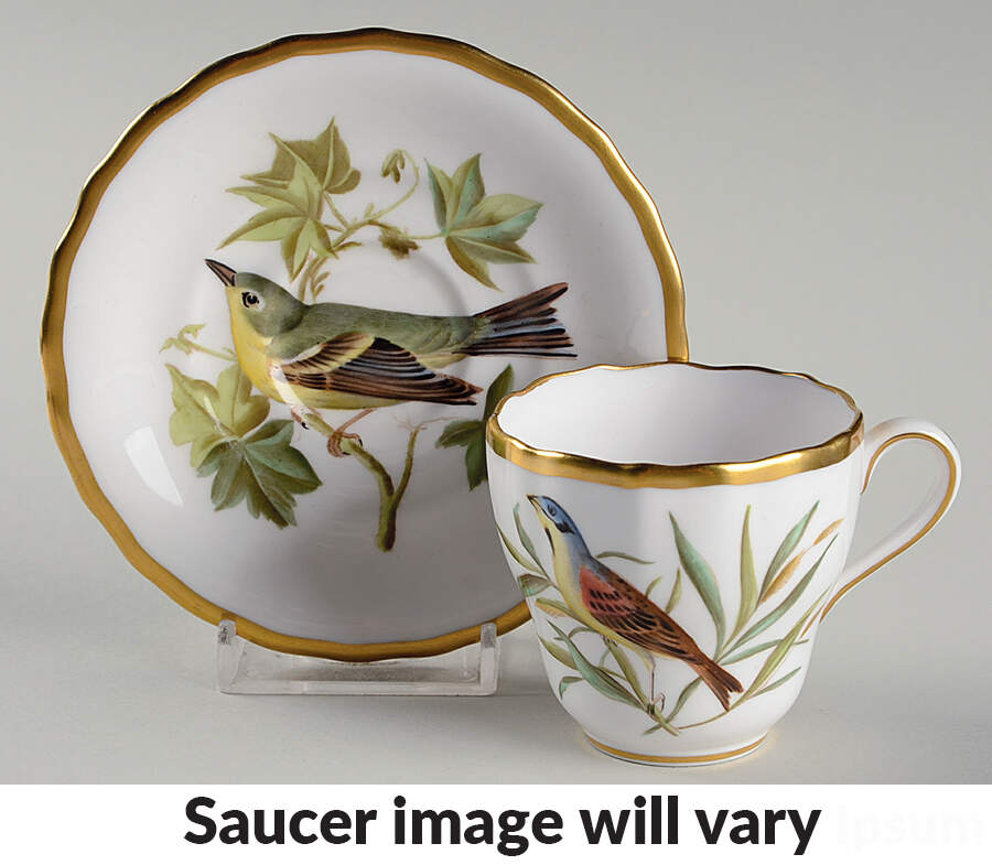 Audubon Birds Flat Demitasse Cup & Saucer Set by Spode-1