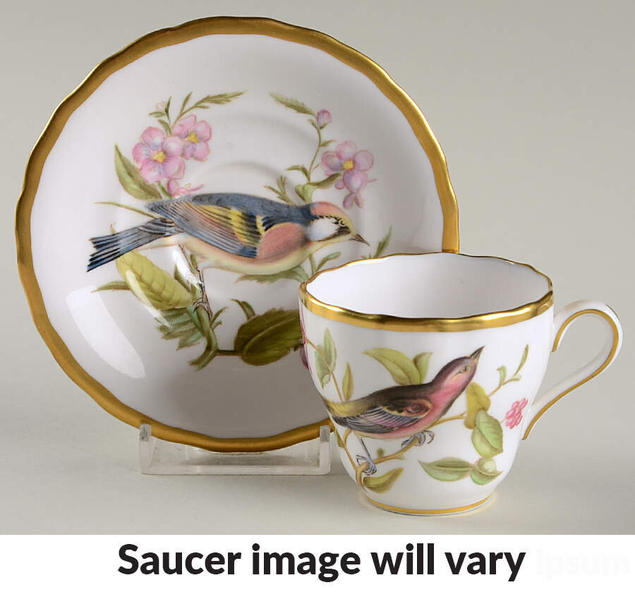 Audubon Birds Flat Demitasse Cup & Saucer Set by Spode-1
