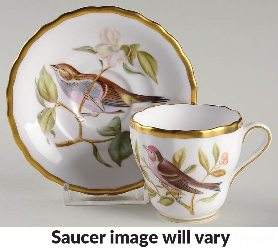 Audubon Birds Flat Demitasse Cup & Saucer Set by Spode-1
