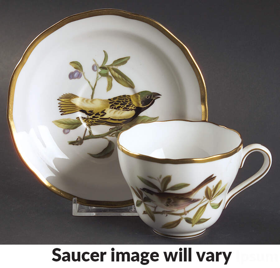 Audubon Birds Flat Cup & Saucer Set by Spode-1