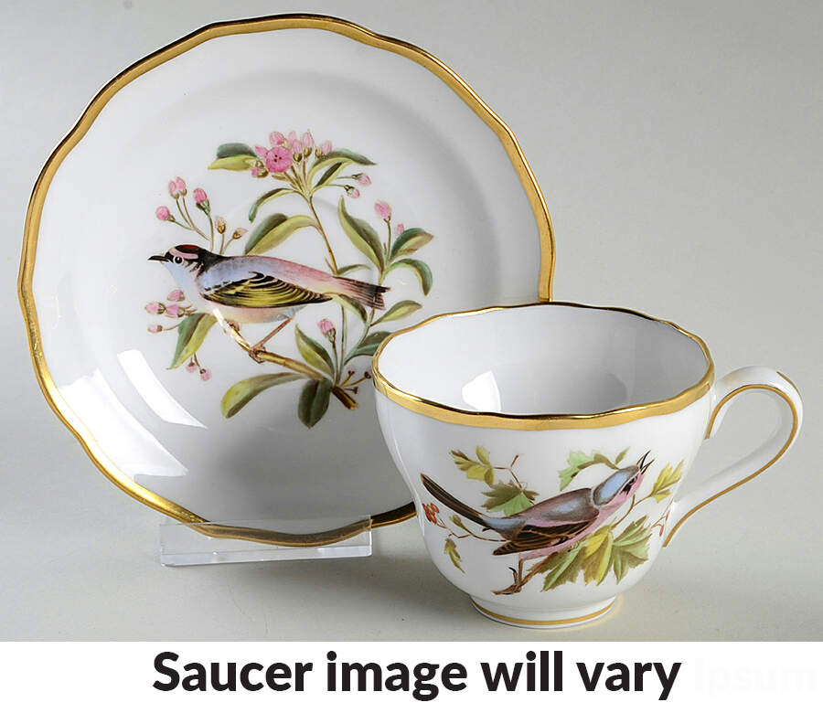 Audubon Birds Flat Cup & Saucer Set by Spode-1