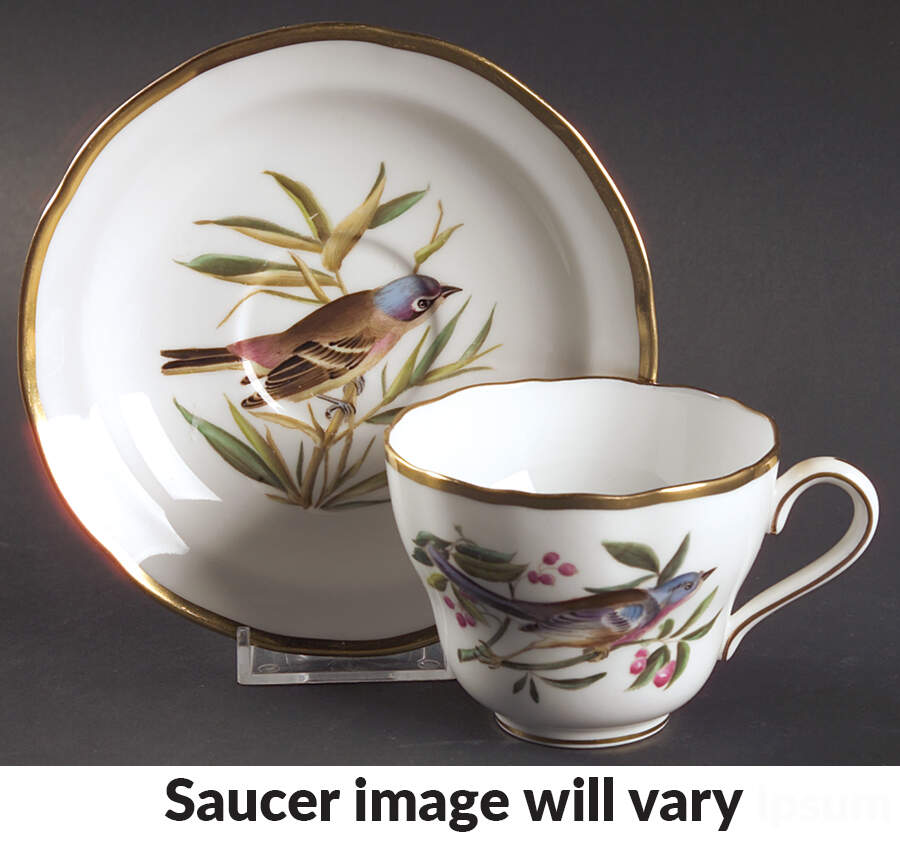 Audubon Birds Flat Cup & Saucer Set by Spode-1