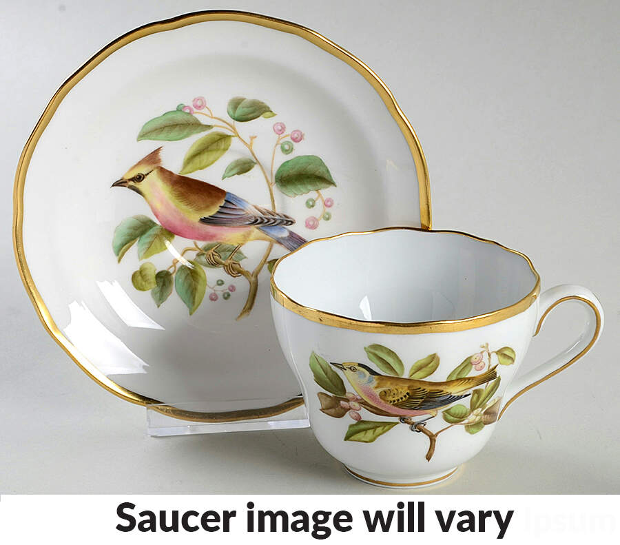 Audubon Birds Flat Cup & Saucer Set by Spode-1