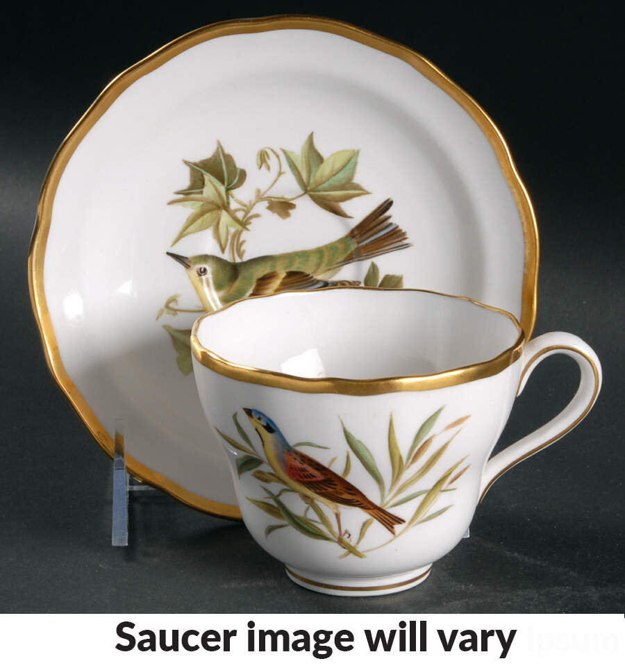 Audubon Birds Flat Cup & Saucer Set by Spode-1