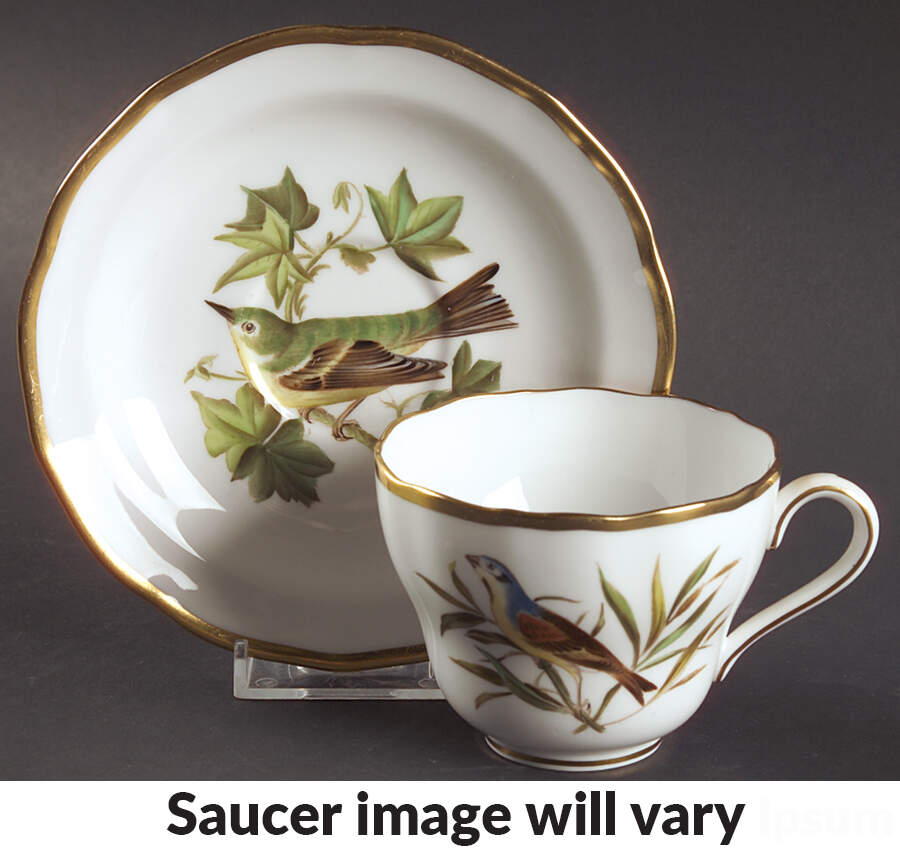 Audubon Birds Flat Cup & Saucer Set by Spode-1