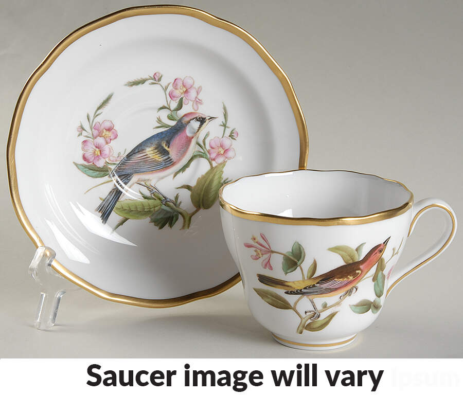 Audubon Birds Flat Cup & Saucer Set by Spode-1