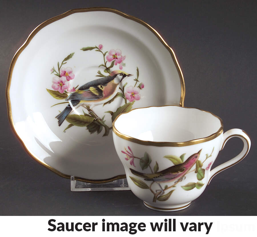 Audubon Birds Flat Cup & Saucer Set by Spode-1