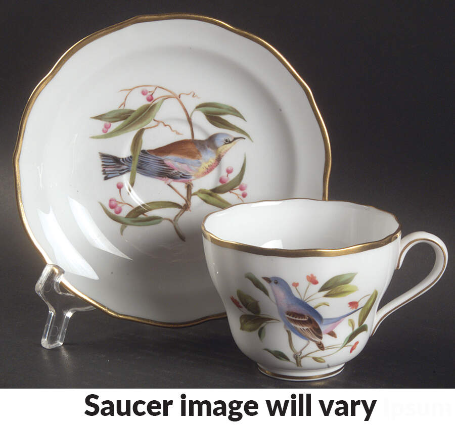 Audubon Birds Flat Cup & Saucer Set by Spode-1