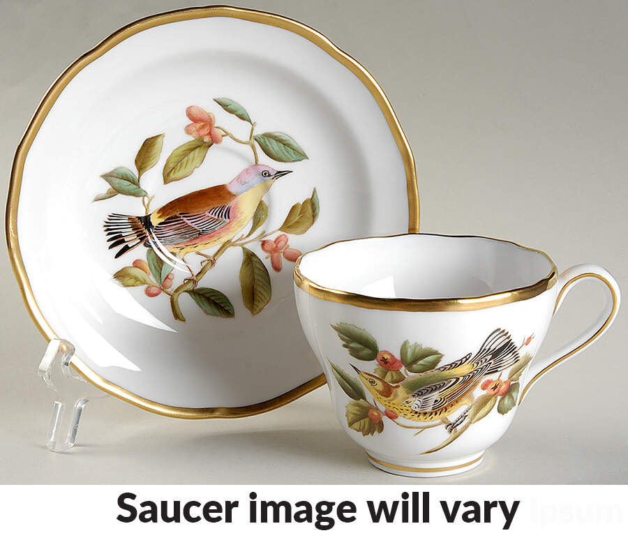Audubon Birds Flat Cup & Saucer Set by Spode-1