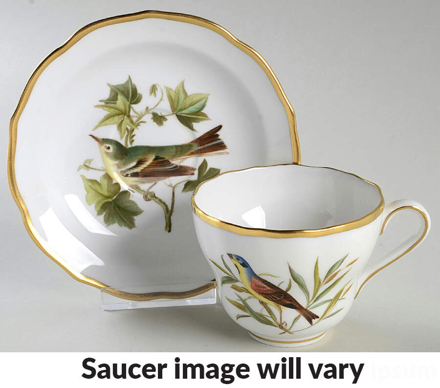 Audubon Birds Flat Cup & Saucer Set by Spode-1