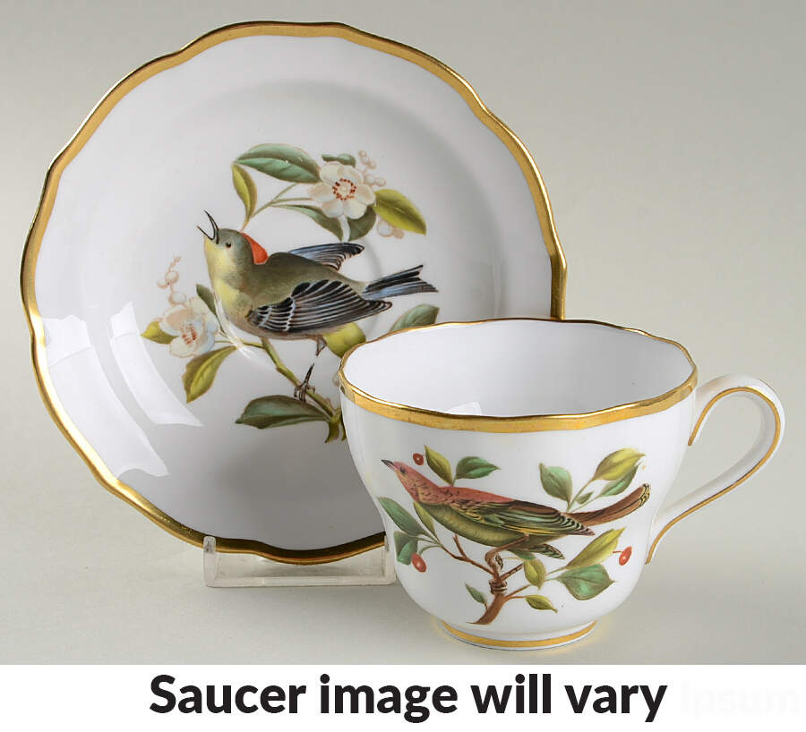 Audubon Birds Flat Cup & Saucer Set by Spode-1