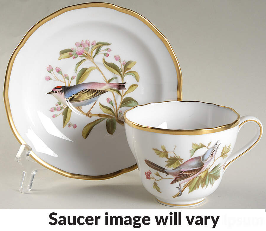 Audubon Birds Flat Cup & Saucer Set by Spode-1