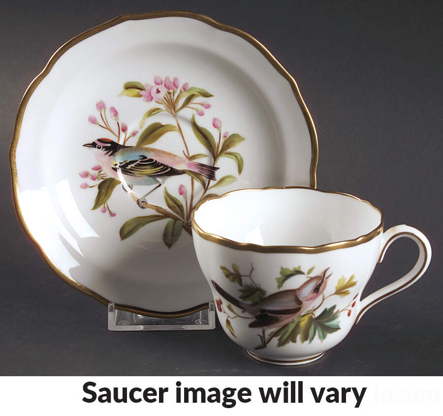 Audubon Birds Flat Cup & Saucer Set by Spode-1