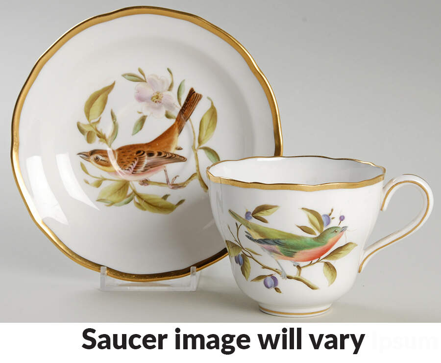 Audubon Birds Flat Cup & Saucer Set by Spode-1
