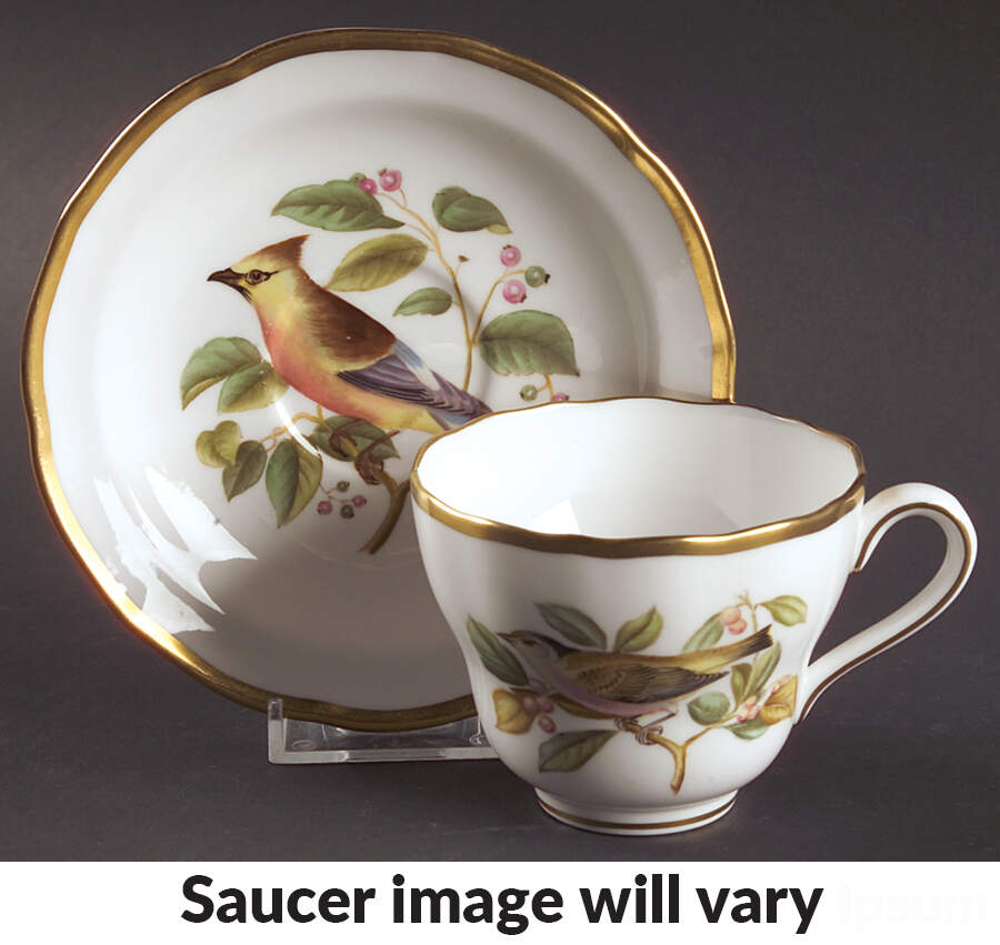 Audubon Birds Flat Cup & Saucer Set by Spode-1