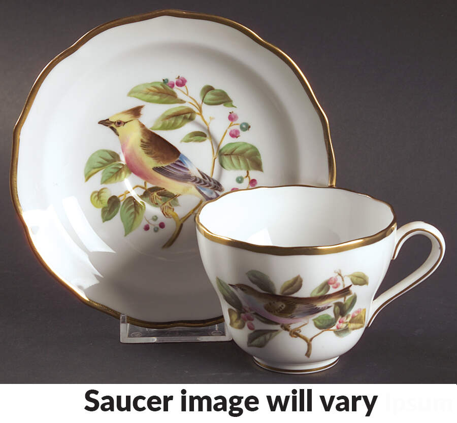 Audubon Birds Flat Cup & Saucer Set by Spode-1