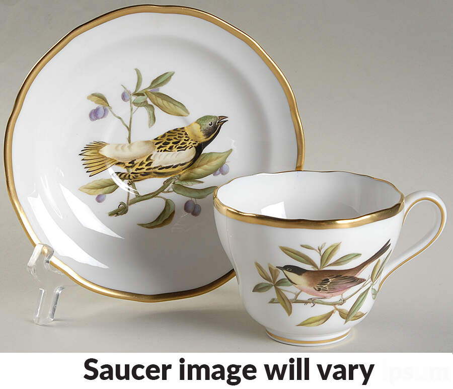 Audubon Birds Flat Cup & Saucer Set by Spode-1