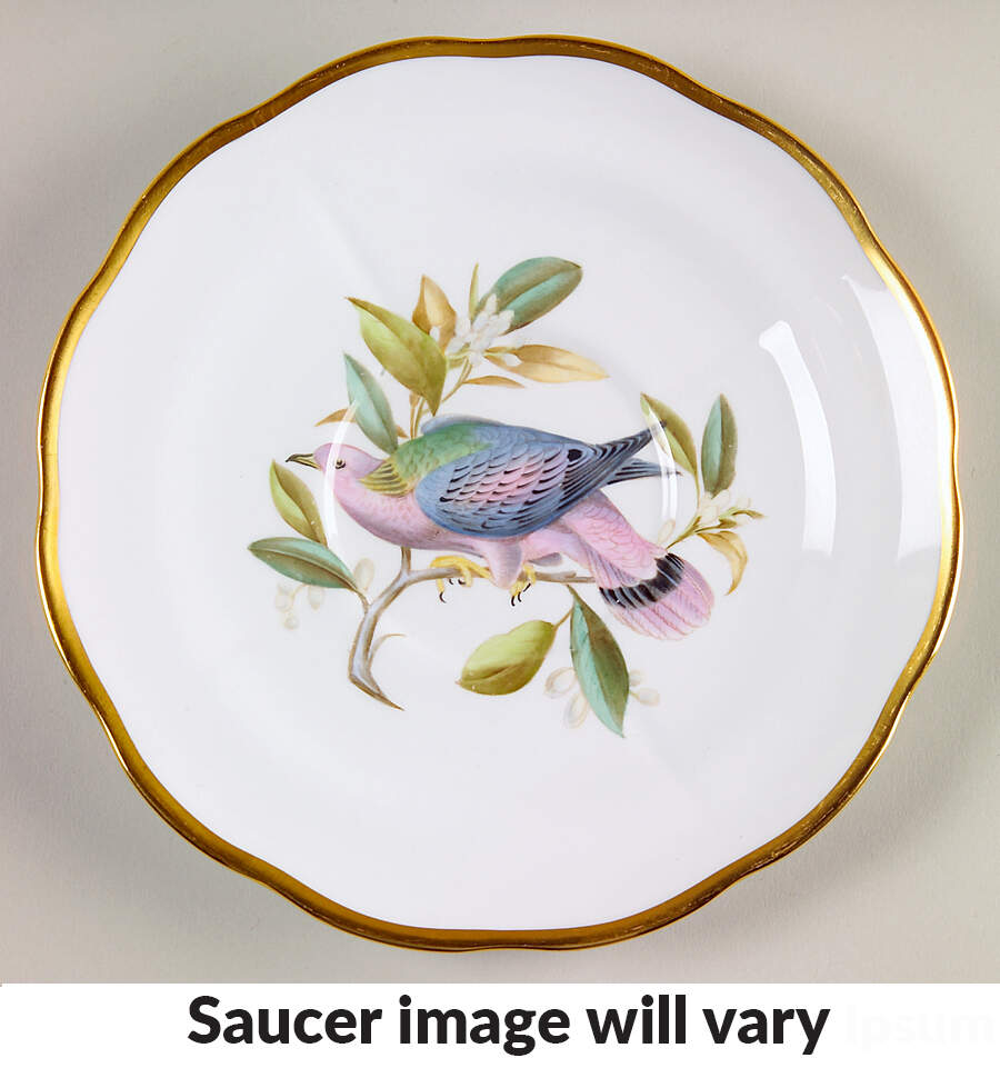 Audubon Birds Saucer for Flat Cream Soup Bowl by Spode-1