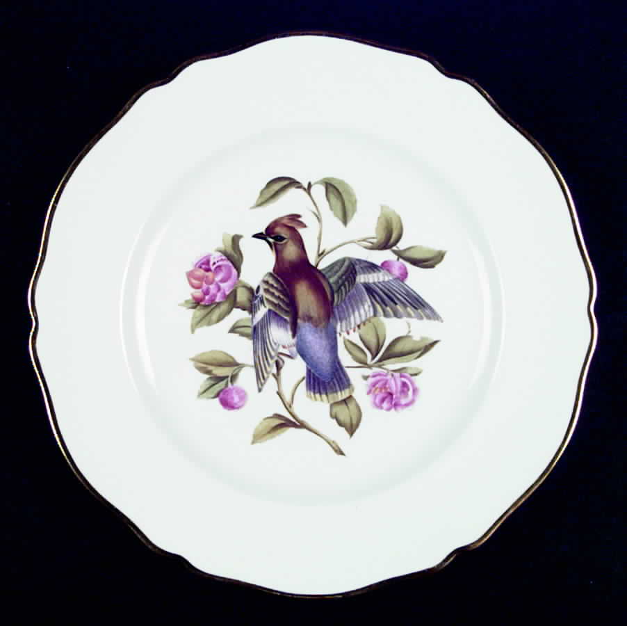 Audubon Birds Dinner Plate by Spode-1