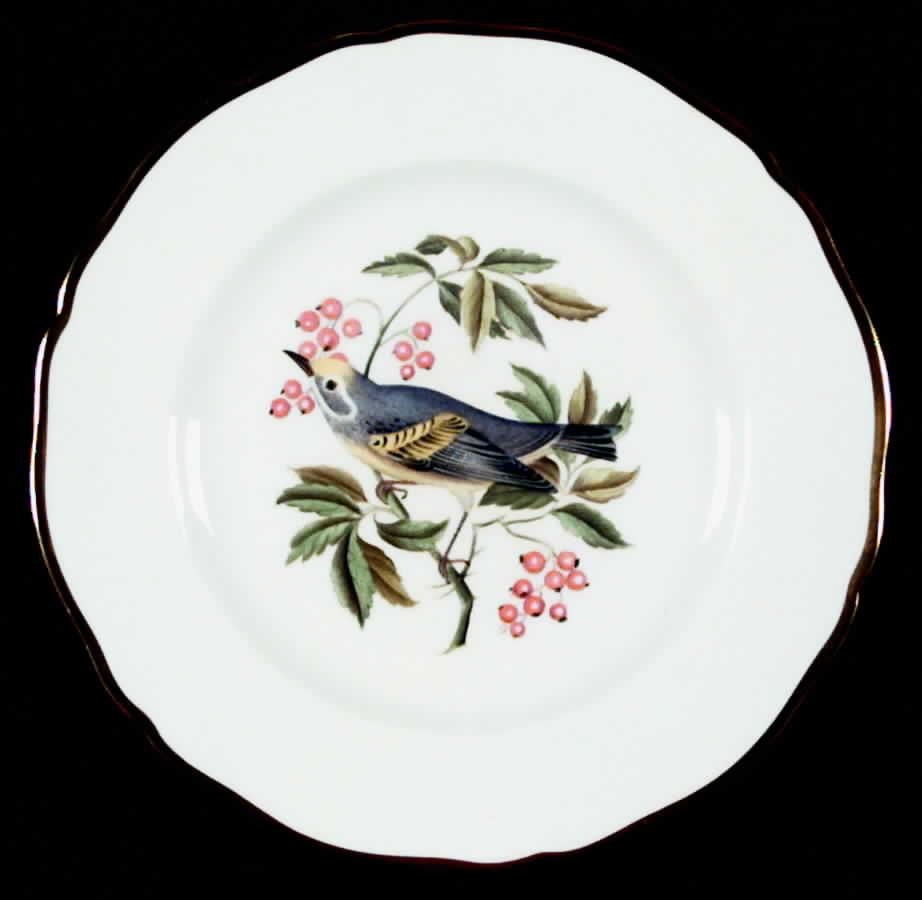 Audubon Birds Salad Plate by Spode-1