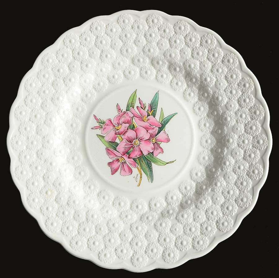 Bermuda Flowers Luncheon Plate by Spode-1
