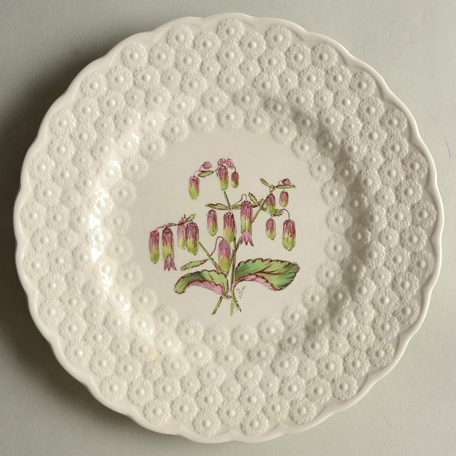 Bermuda Flowers Luncheon Plate by Spode-1