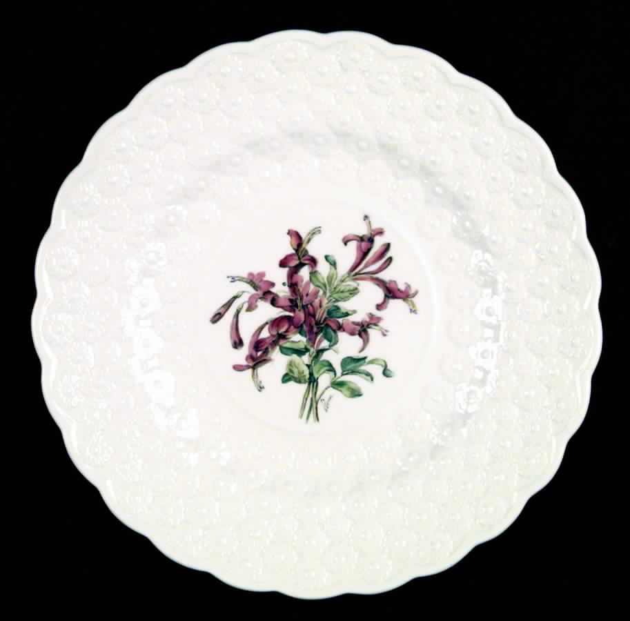 Bermuda Flowers Luncheon Plate by Spode-1