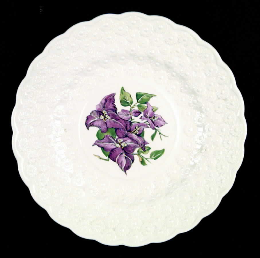 Bermuda Flowers Luncheon Plate by Spode-1