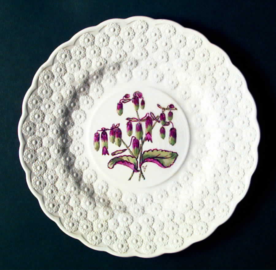 Bermuda Flowers Luncheon Plate by Spode-1