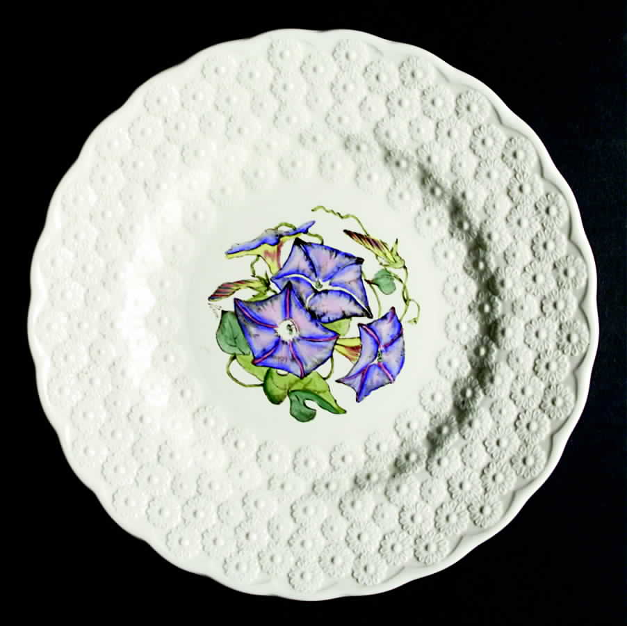 Bermuda Flowers Luncheon Plate by Spode-1