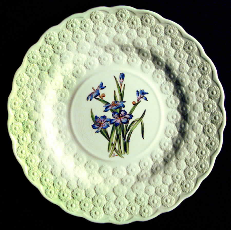 Bermuda Flowers Luncheon Plate by Spode-1