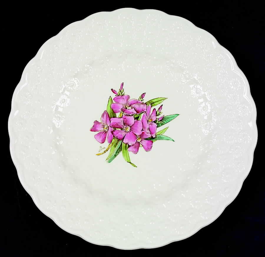 Bermuda Flowers Luncheon Plate by Spode-1
