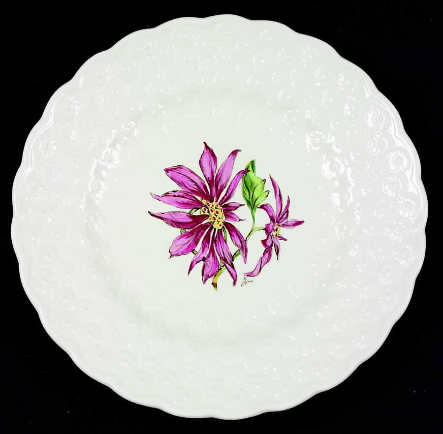Bermuda Flowers Luncheon Plate by Spode-1