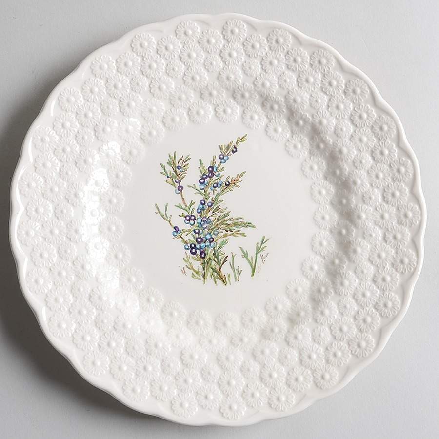 Bermuda Flowers Luncheon Plate by Spode-1