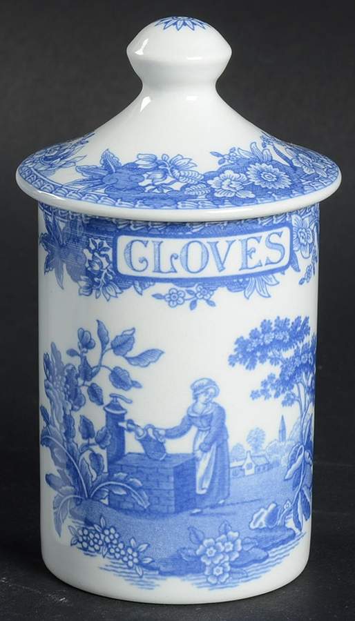 Blue Room Collection Spice Jar Set Individual Jar & Lid by Spode-1