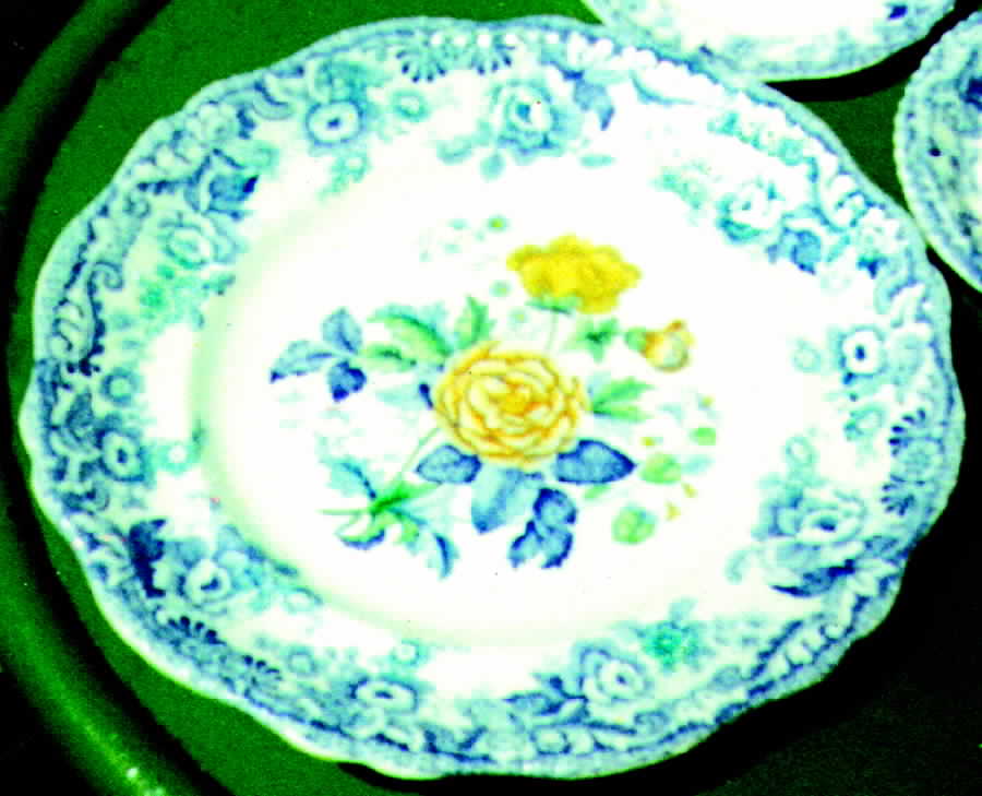 British Flowers Dinner Plate by Spode-1
