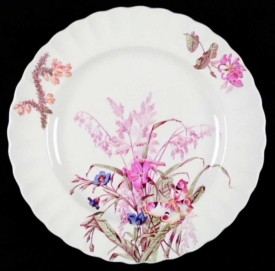 Broom Dinner Plate by Spode-1
