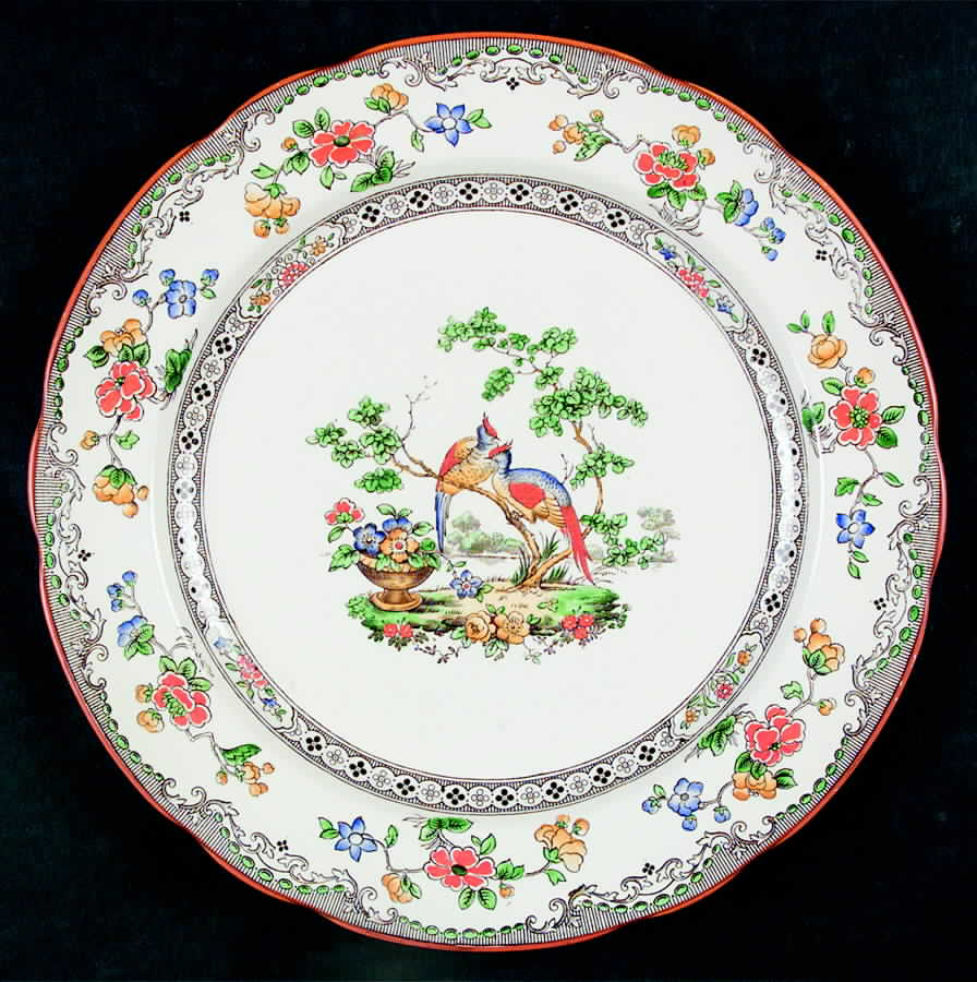 Bridal Veil Dinner Plate by Spode-1