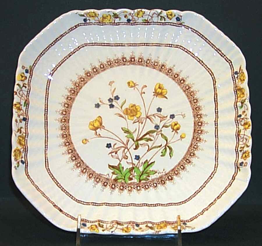 Buttercup (Older Backstamp) 11" Square Cake Plate by Spode-1