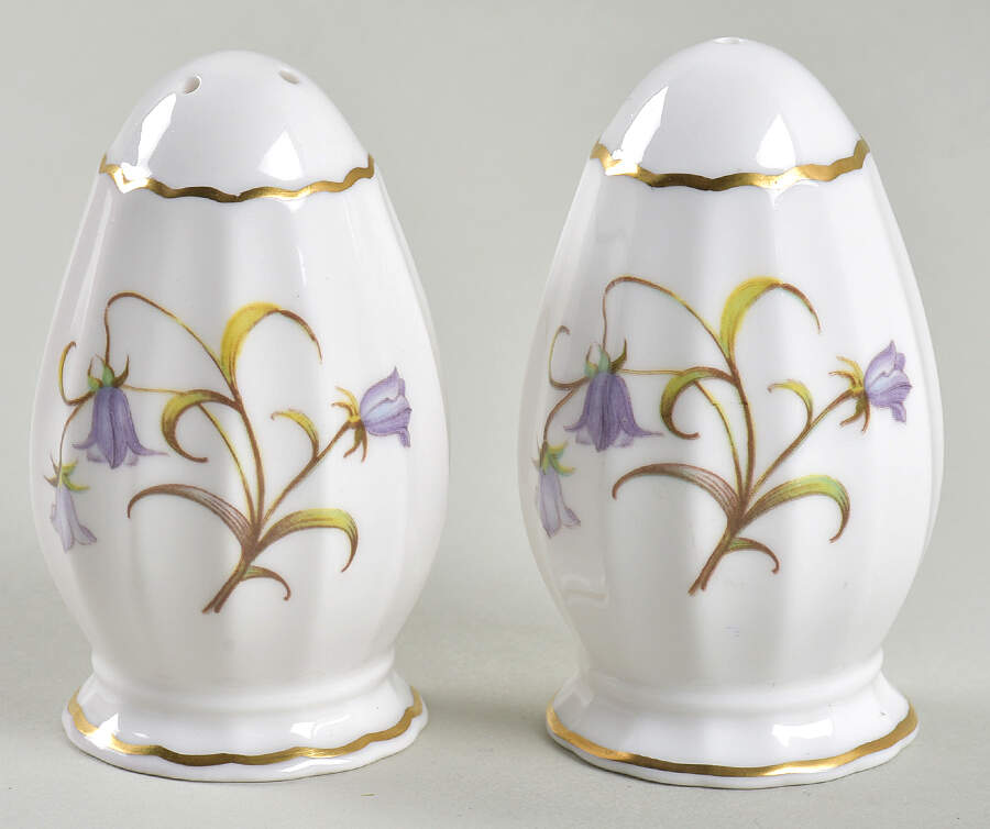 Campanula Salt & Pepper Set by Spode-1