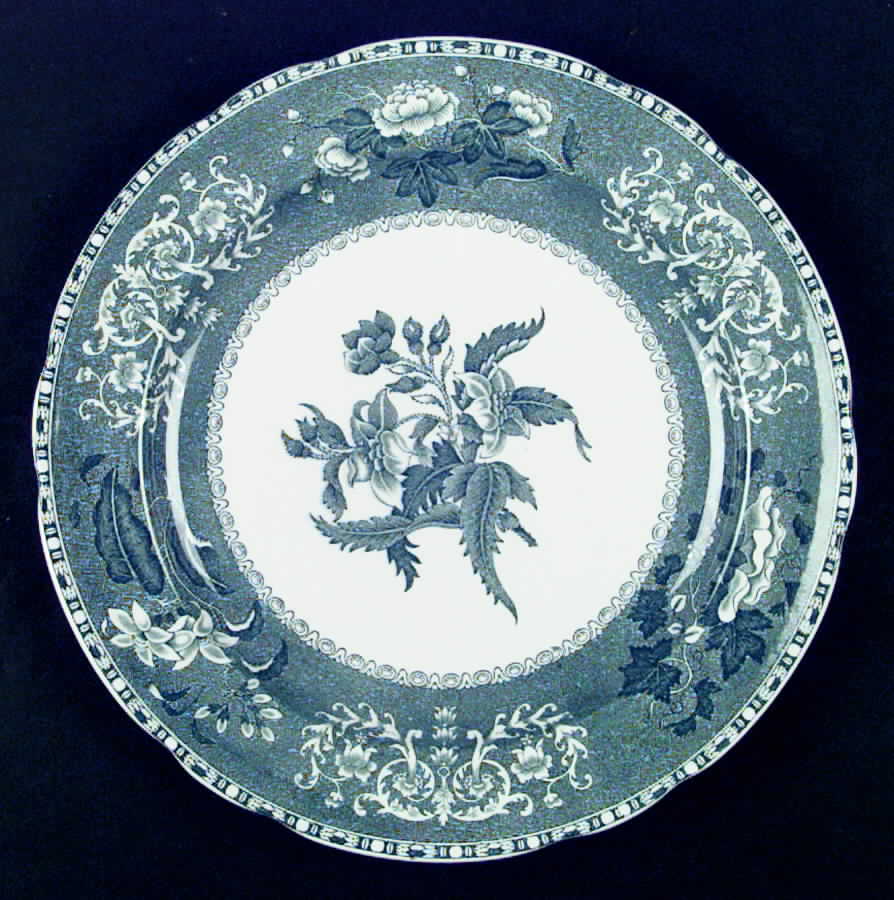 Camilla Light Green (Earthenware, Scallop) Dinner Plate by Spode-1
