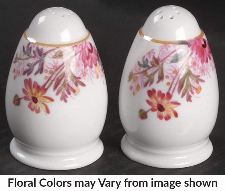 Chelsea Garden (Mustard Trim) Salt & Pepper Set by Spode-1