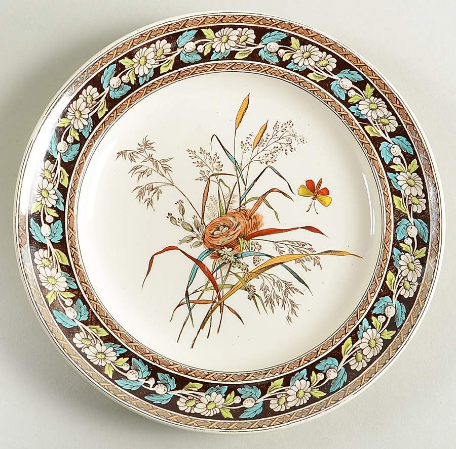 Daisy (Brown-Multicolor) Salad Plate by Spode-1