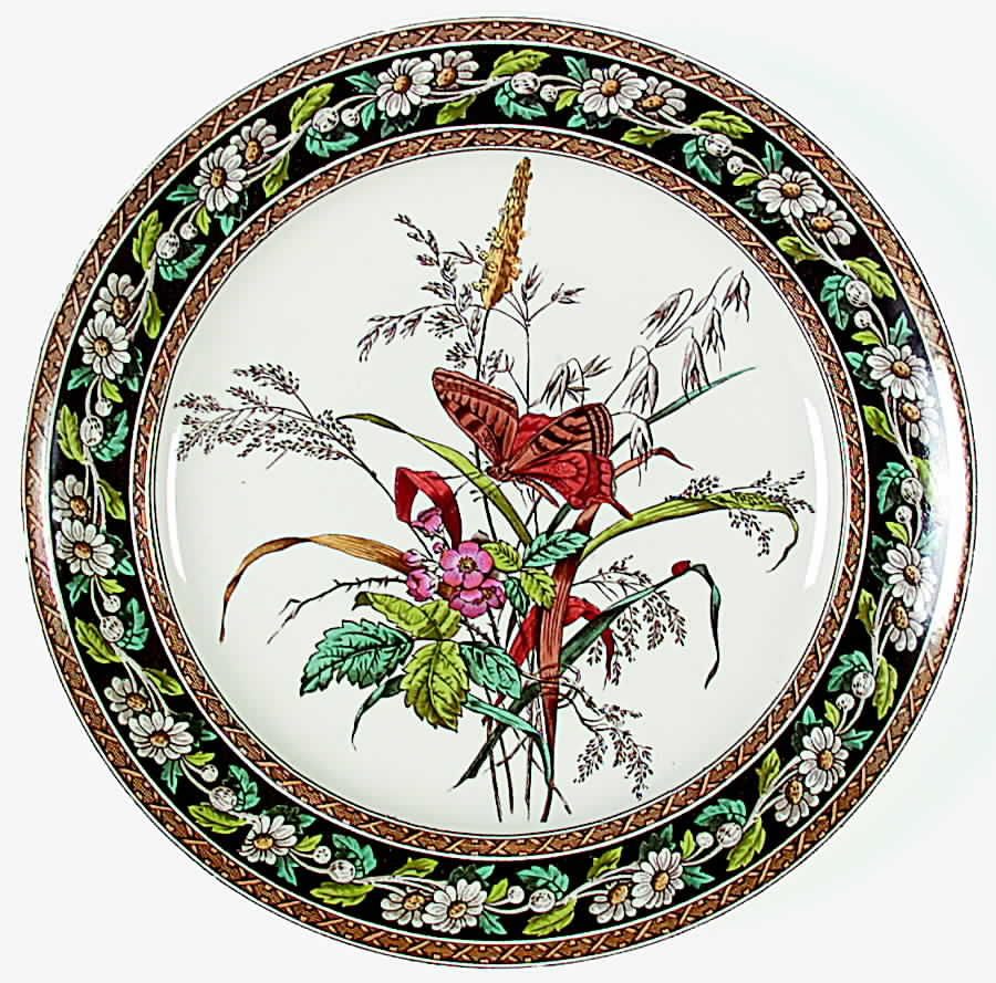 Daisy (Brown-Multicolor) Dinner Plate by Spode-1