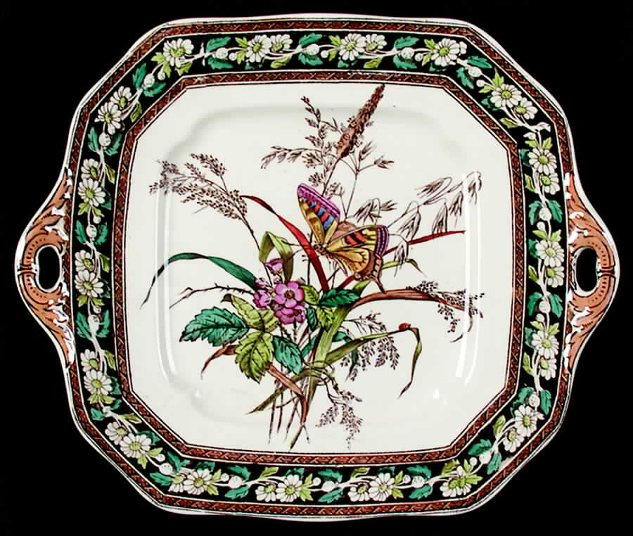 Daisy (Brown-Multicolor) Square Handled Cake Plate by Spode-1